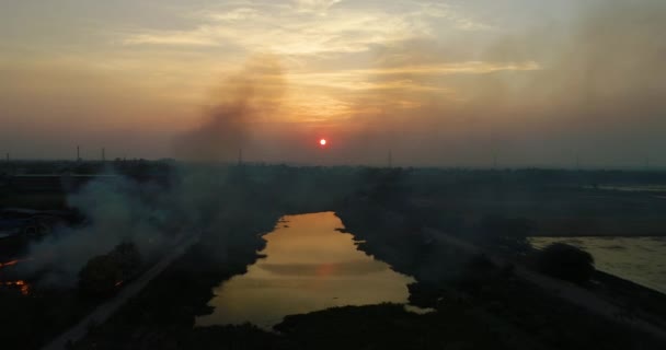 Clip Aéreo Por Noche Ver Hierba Ardiente Paisaje Humo — Vídeos de Stock