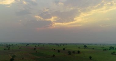 Havadan görünüm pirinç alanı. Uçan drone yeşil pirinç plantasyon görünümü. Tarım ve tarım, Doğal peyzaj.