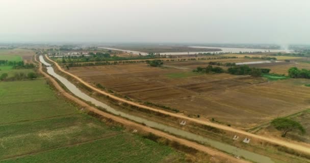 Aerial Campos Arroz Estão Esperando Para Cultivo Arroz — Vídeo de Stock