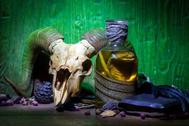 Vintage büyücülük natürmort yılan kobra ve kafatasları ile.