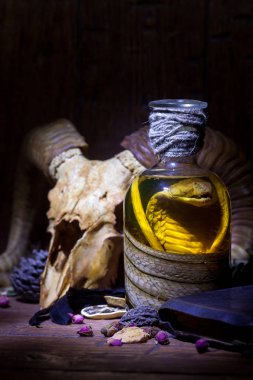 Vintage büyücülük natürmort yılan kobra ve kafatasları ile.