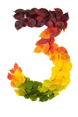 Beyaz izole sonbahar yaprakları ile yapılan üç numaralı.