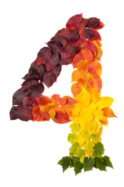 Dördüncü üzerinde beyaz izole sonbahar yaprakları ile yapılan.