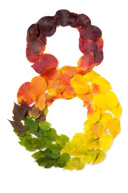 Beyaz izole sonbahar yaprakları ile yapılan sekiz numara.