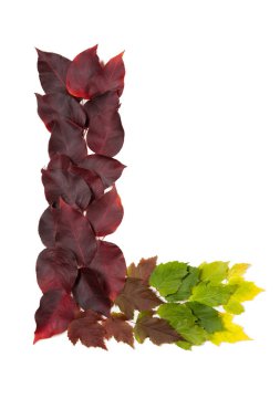 Mektup L renkli sonbahar yaprakları. Sonbaharda yapraklar karakter L mades.