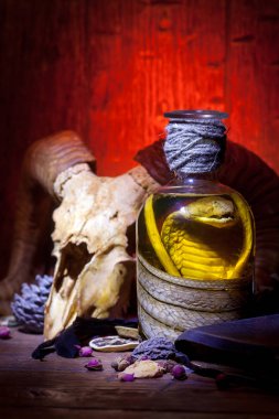 Vintage büyücülük natürmort yılan kobra ve kafatasları ile.