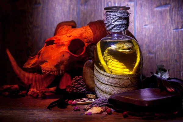 Vintage witchcraft still life with snake cobra and skulls. — Stock Photo, Image