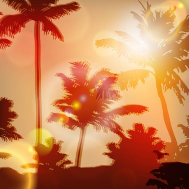 ada ve palmiye ağaçlarıyla deniz günbatımı