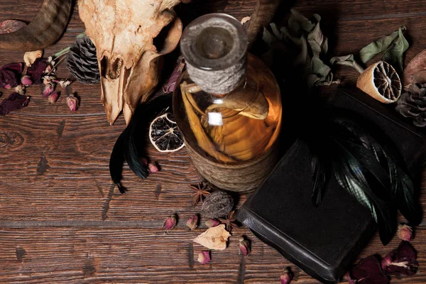 Brujería vintage bodegón con cobra de serpiente y cráneo . —  Fotos de Stock