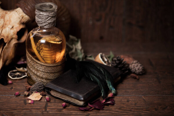 Vintage witchcraft still life with snake cobra and skull.