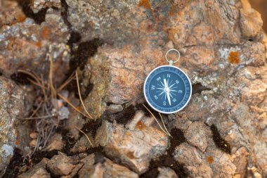 Manyetik pusula vahşi bir taş bir siyah kadran ile yosun kaplı.