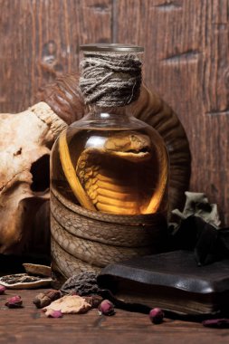 Vintage büyücülük natürmort yılan kobra ve kafatası ile.