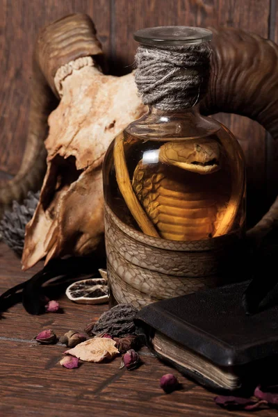 Brujería vintage bodegón con cobra de serpiente y cráneo . —  Fotos de Stock