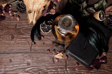 Vintage büyücülük natürmort yılan kobra ve kafatası ile.