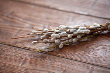 Ahşap arka planda Willow catkins. Paskalya konsepti.