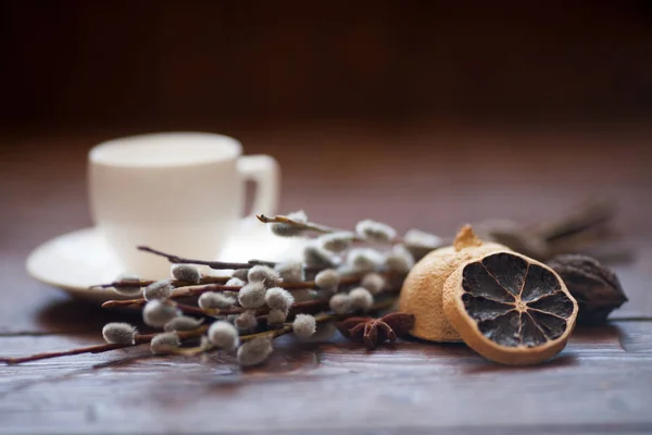 Tazza di caffè e rami di salice, limone secco, cannella . — Foto Stock