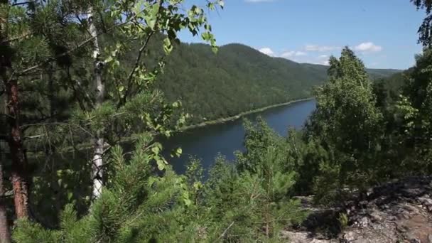 Flythrough aérien de belles montagnes et forêt et lac 