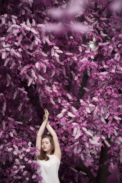 Portret van een mooi meisje onder de lente loof en bloemen vogel Cherry — Stockfoto