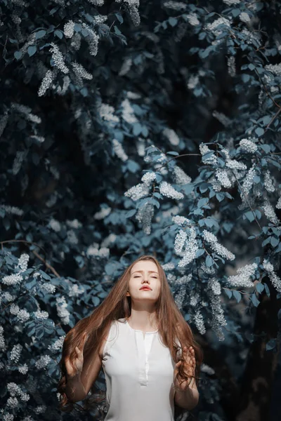 Ritratto di donna su sfondo di ciliegia di uccello in fiore. — Foto Stock