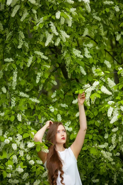 Retrato de mulher em um fundo de cereja de pássaro florescente . — Fotografia de Stock