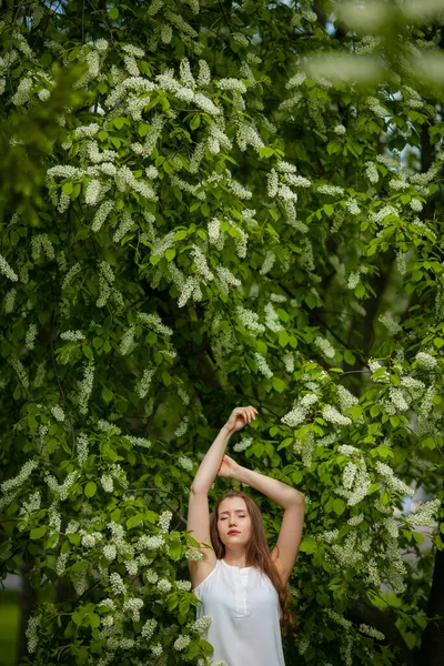 Portret van een vrouw op een achtergrond van bloeiende vogel kers. — Stockfoto