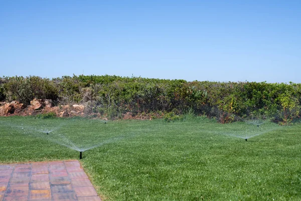 Sistema Riego Jardín Con Aspersores Para Regar Hierba — Foto de Stock