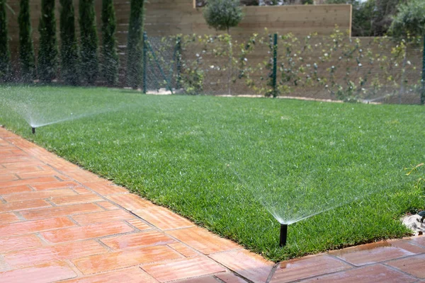 Sistema Riego Jardín Con Aspersores Para Regar Hierba — Foto de Stock