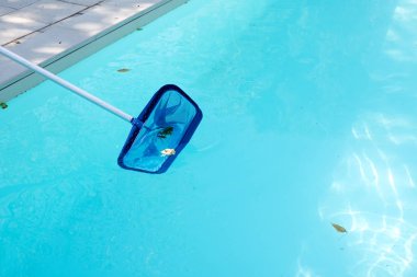 Bir ağ ile bir yerli yüzme havuzu yaprakları kaldırma