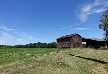 Erken ayçiçeklerinin olduğu Fransız tarlasının kenarında eski bir tütün ambarı.