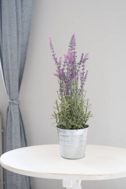 İçerideki ahşap bir masada plastik lavanta tenceresi