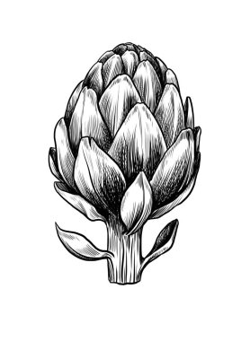 Enginar çiçek siyah ve beyaz çizgi Vintage tarzı çizim