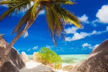 mükemmel tropikal beyaz kum plaj tatil. Anse kaynak d Argent, La Digue, Seyşel Adaları