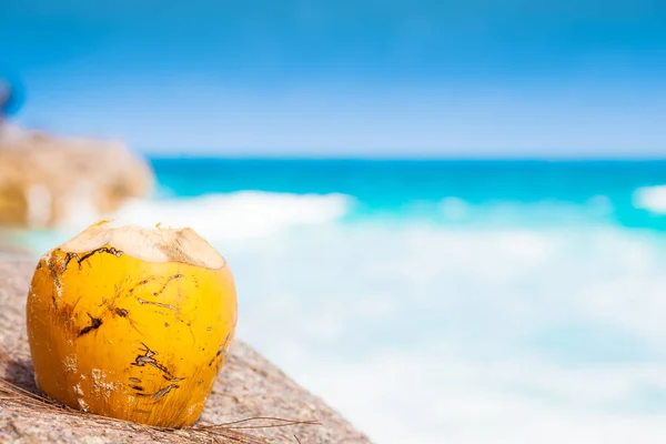 Fresch kokos koktajl na tropikalnej plaży — Zdjęcie stockowe