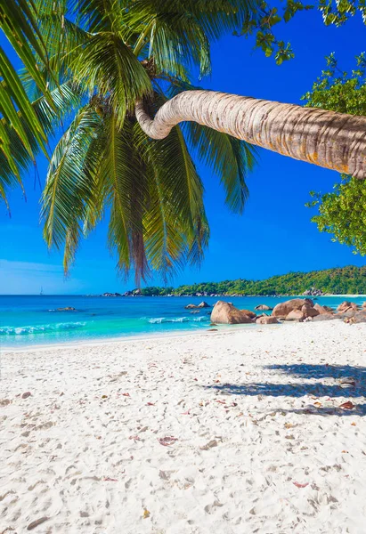 Semester på perfekta tropiska vit sandstrand på ön Praslin, Seychellerna — Stockfoto