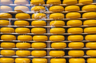 Satılık ekranda geleneksel Hollanda peynir. Edam Hollanda