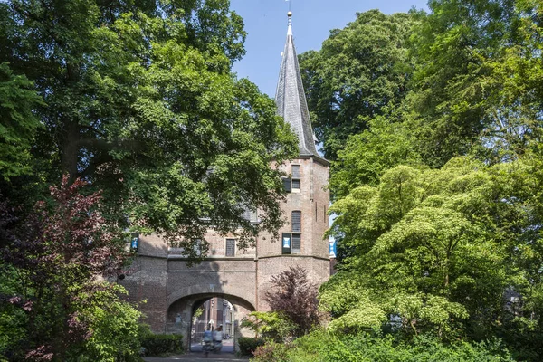 Lummiga Vegetation Trädgårdar Innan Ingången Med Medeltida Fästning Till Staden — Stockfoto