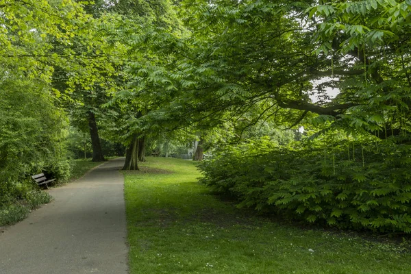 Park yolu ve onun yapraklı ağaçlar ve onların gölgede park kampen şehir çevresinde kampen kentinde girişinde. Hollanda Hollanda