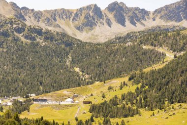 Yeşil çam ormanları ve gökyüzü teçhizatları ile Pyrenees yamaçları. Andorra Europe