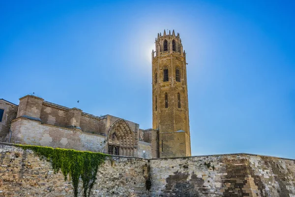 Vista Panorámica Fachada Catedral Seu Vella Ciudad Lleida Cataluña España — Foto de Stock