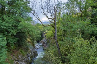 Fransız tarafında ve nehir Pyrenees bitki örtüsü ile aynı adı köy Ax-les-Thermes manzara. Ariège Fransa