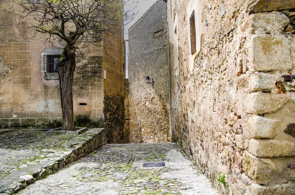 Alley in the city of Caceres. Extremadura Spain — Stock Photo, Image