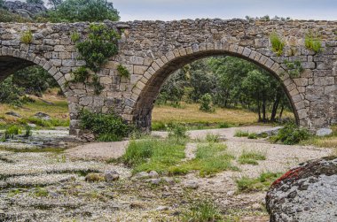 Beş kemerle eski ortaçağ Köprüsü. Ledesma Salamanca Ispanya