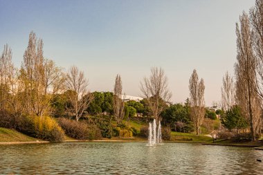 Tres Cantos şehrinin merkez parkındaki göl. Madrid halkı. İspanya