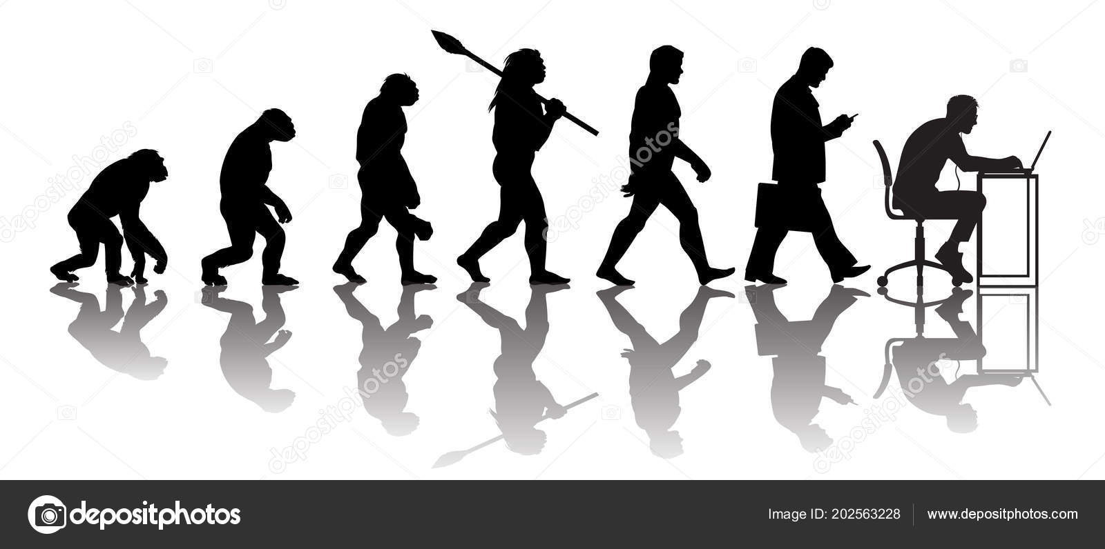 Evolutionstheorie des Menschen Stock-Vektorgrafik von ©UncleLeo 202563228