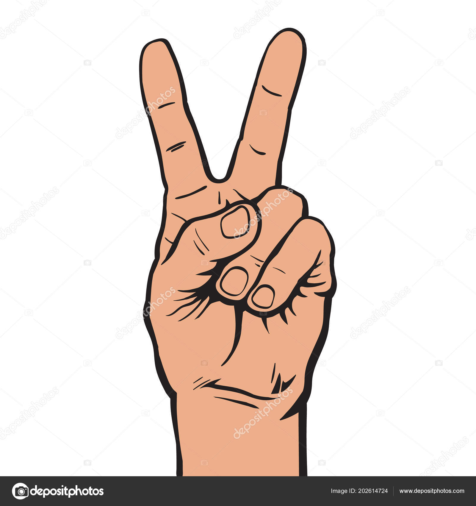 Что обозначает поднятый вверх большой палец. Человек показывает пальцем. Жесты большим пальцем. Жест два пальца большой и указательный. Как называется жест палец вверх.