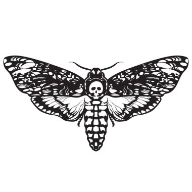 Ölüm baş hawk güve. Siyah ve beyaz Cadılar Bayramı dekorasyon. Elle çizilmiş vektör illüstrasyon izole beyaz arka plan üzerinde. Kafatası güve kelebek tasarım tattoo, t-shirt için baskı, poster, boyama kitabı.