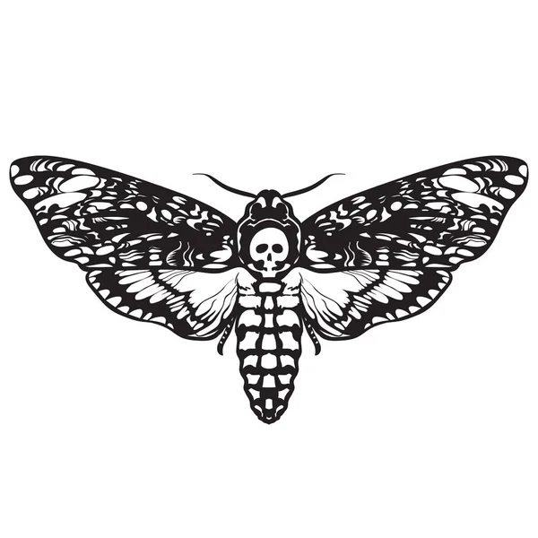 Ölüm baş hawk güve. Siyah ve beyaz Cadılar Bayramı dekorasyon. Elle çizilmiş vektör illüstrasyon izole beyaz arka plan üzerinde. Kafatası güve kelebek tasarım tattoo, t-shirt için baskı, poster, boyama kitabı.
