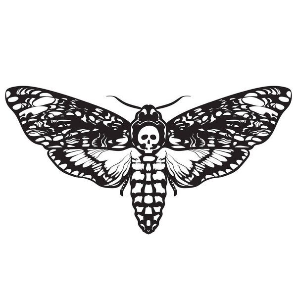 Death head hawk moth. Black and white Halloween decoration. Hand drawn vector illustration isolated on white background. Skull moth butterfly design for tattoo, t-shirt print, poster, coloring book.