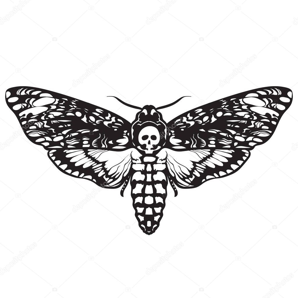 Death head hawk moth. Black and white Halloween decoration. Hand drawn vector illustration isolated on white background. Skull moth butterfly design for tattoo, t-shirt print, poster, coloring book.