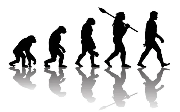 Theory of evolution of man — Stock Vector